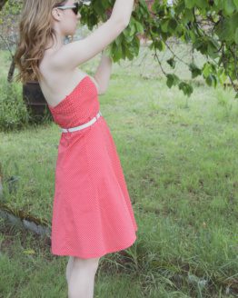 DSC_0064 (3)